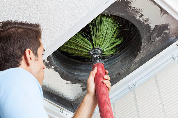 Air Duct Mold Removal in Laurens, IA