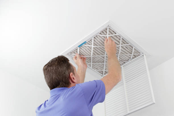 Best Commercial Air Duct Cleaning  in Laurens, IA
